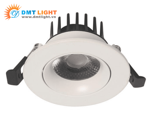 den downlight am tran