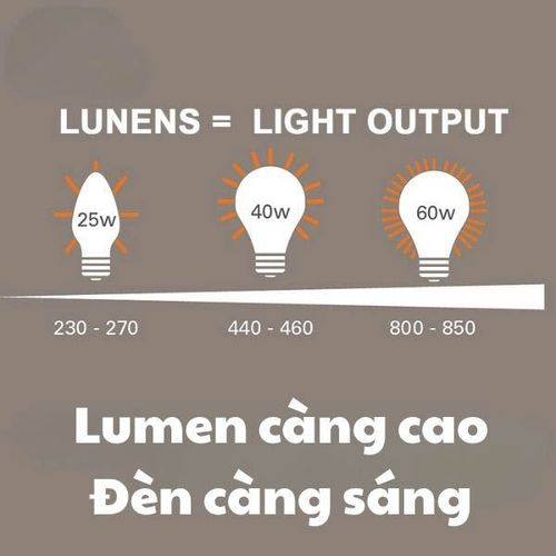 Quang thông đèn cao áp 