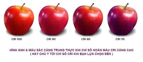 Bộ đèn LED Tuýp T8 1.2m 20W Nhôm Nhựa Rạng Đông TU-RD-T8-M11/20Wx1