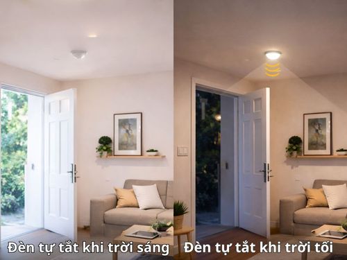 Vai trò và chức năng của cảm biến ánh sáng