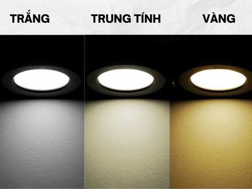 đèn led downlight phòng khách