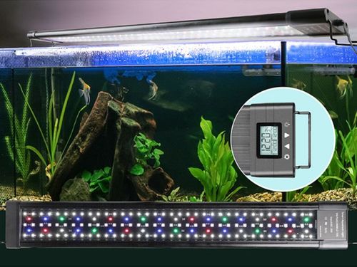 Đèn LED trồng rau thủy canh
