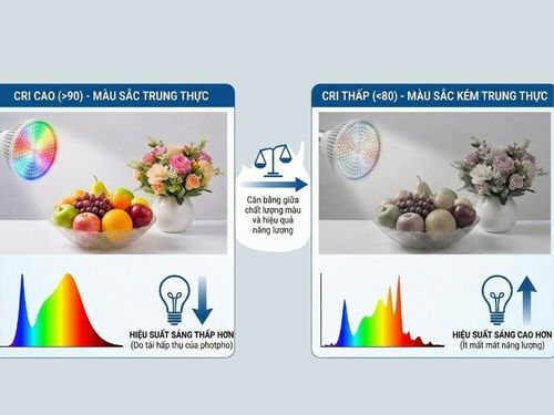 CRI có ảnh hưởng đến hiệu suất phát quang 