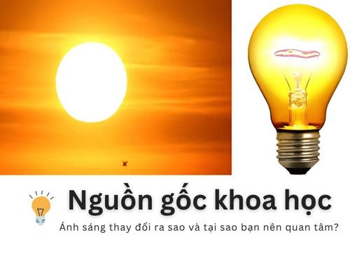 Nguồn gốc khoa học: Ánh sáng thay đổi ra sao và tại sao bạn nên quan tâm?