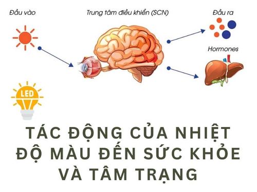 Tác động của nhiệt độ màu đến sức khỏe và tâm trạng