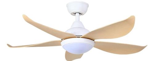 Quạt cánh nhựa loại 5 cánh thường được ưa chuộng hơn trong các không gian rộng